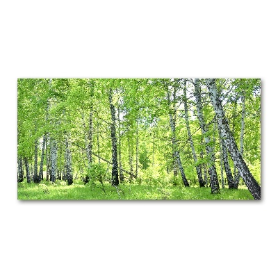 Foto obraz szkło hartowane Las brzozowy