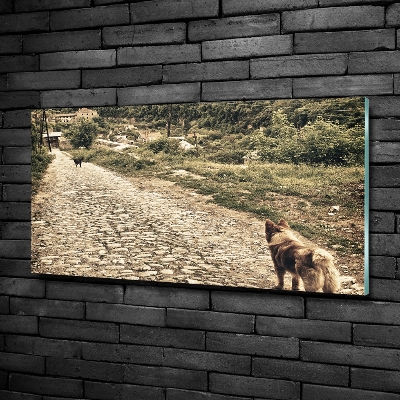 Foto-obraz szklany Dwa psy na wzgórzu