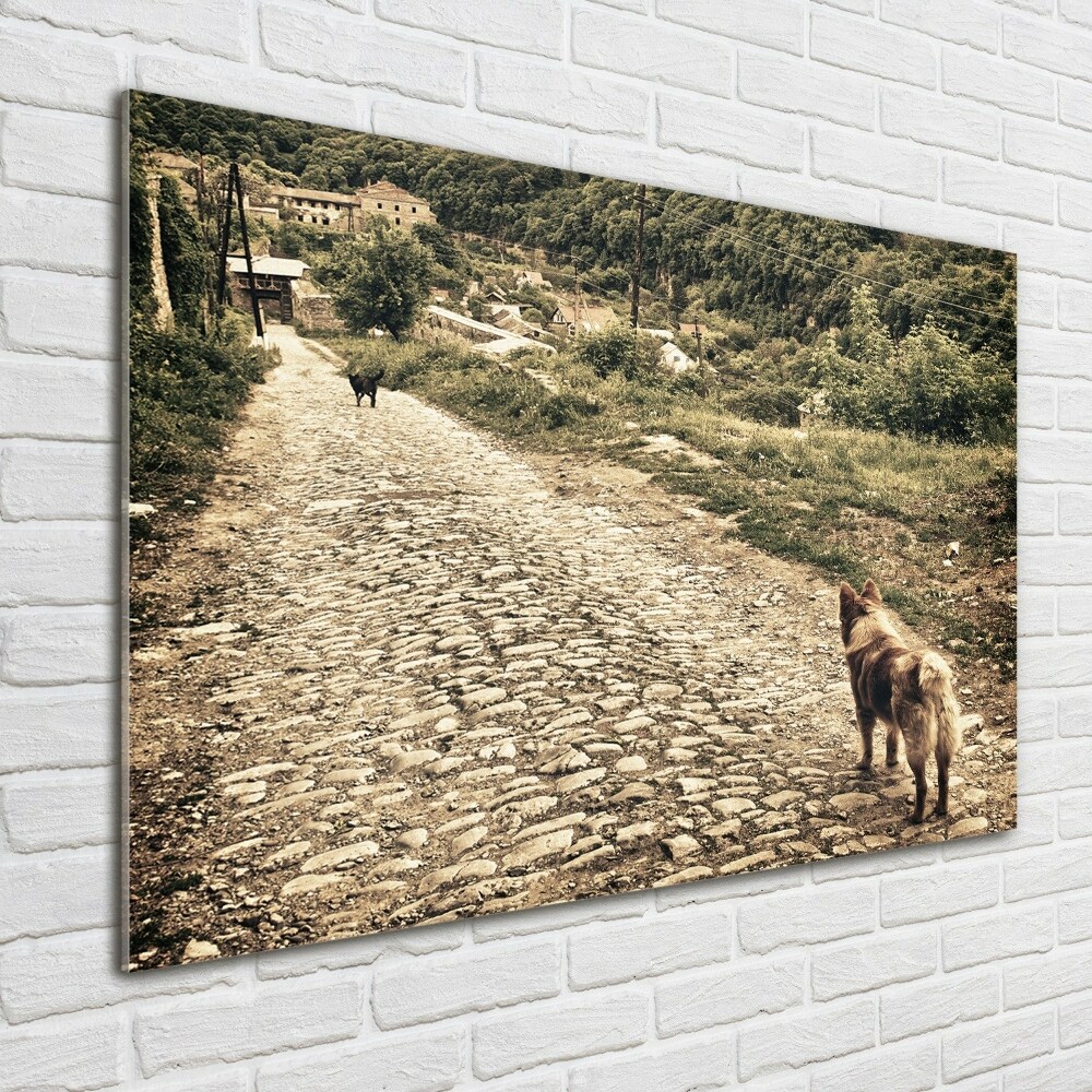 Foto-obraz szklany Dwa psy na wzgórzu