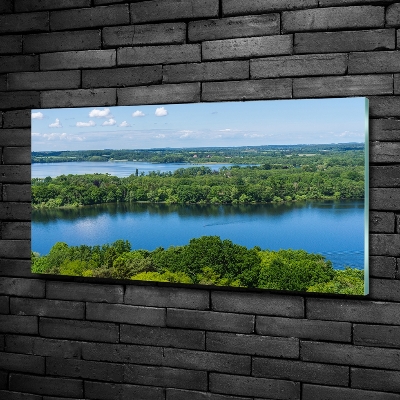 Foto obraz szklany Las nad jeziorem