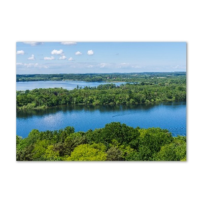 Foto obraz szklany Las nad jeziorem