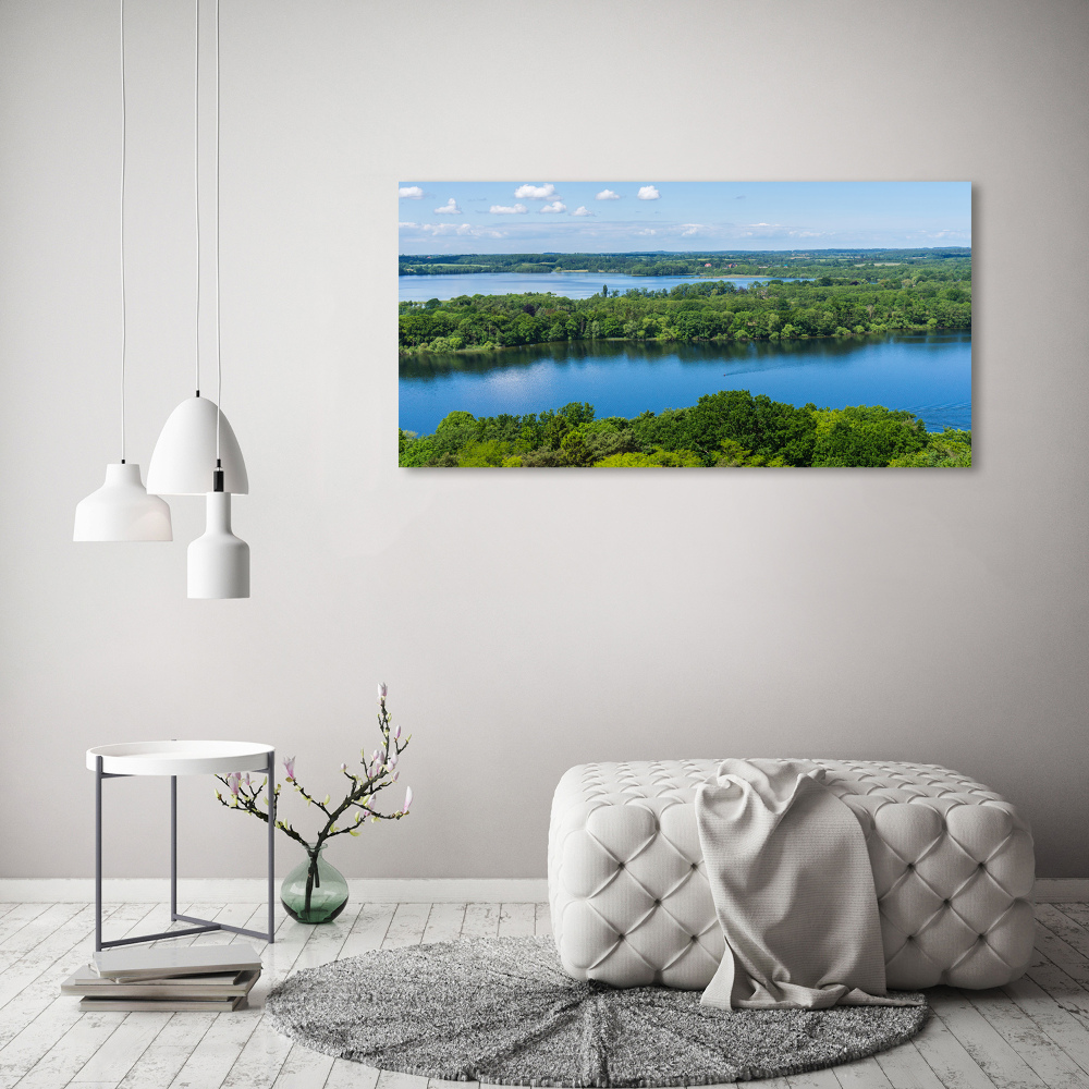 Foto obraz szklany Las nad jeziorem