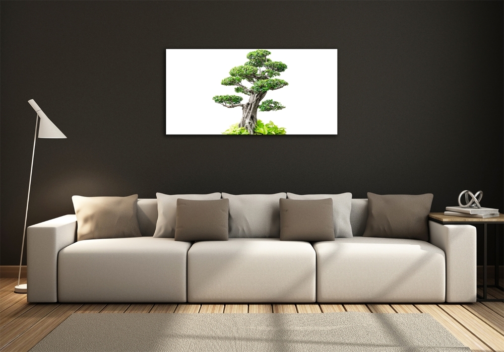 Foto obraz szkło hartowane Drzewo bonsai