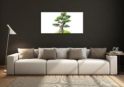 Foto obraz szkło hartowane Drzewo bonsai
