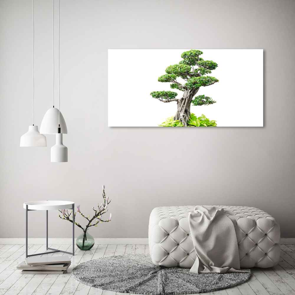 Foto obraz szkło hartowane Drzewo bonsai