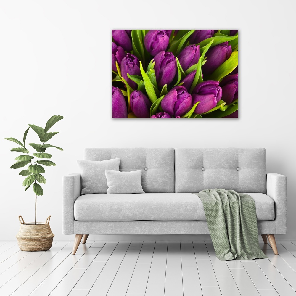 Foto obraz szklany Fioletowe tulipany