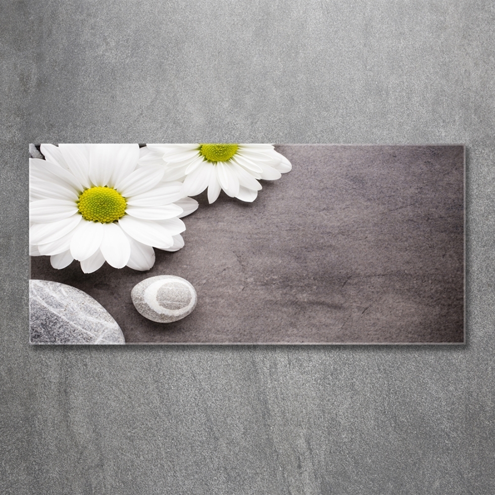 Fotoobraz na ścianę szkło hartowane Gerbera