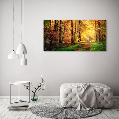 Foto obraz szkło hartowane Las jesienią
