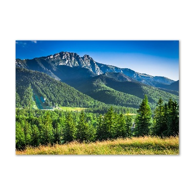 Foto obraz szklany Skocznia w Tatrach