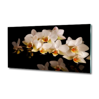 Foto obraz szkło hartowane Orchidea