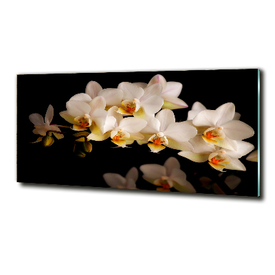 Foto obraz szkło hartowane Orchidea