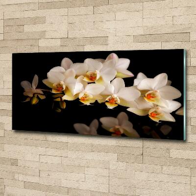 Foto obraz szkło hartowane Orchidea