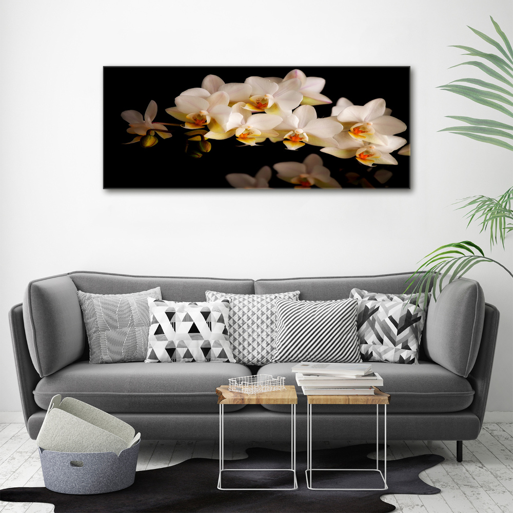 Foto obraz szkło hartowane Orchidea