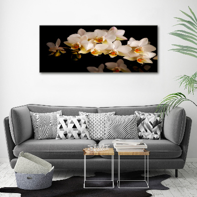 Foto obraz szkło hartowane Orchidea
