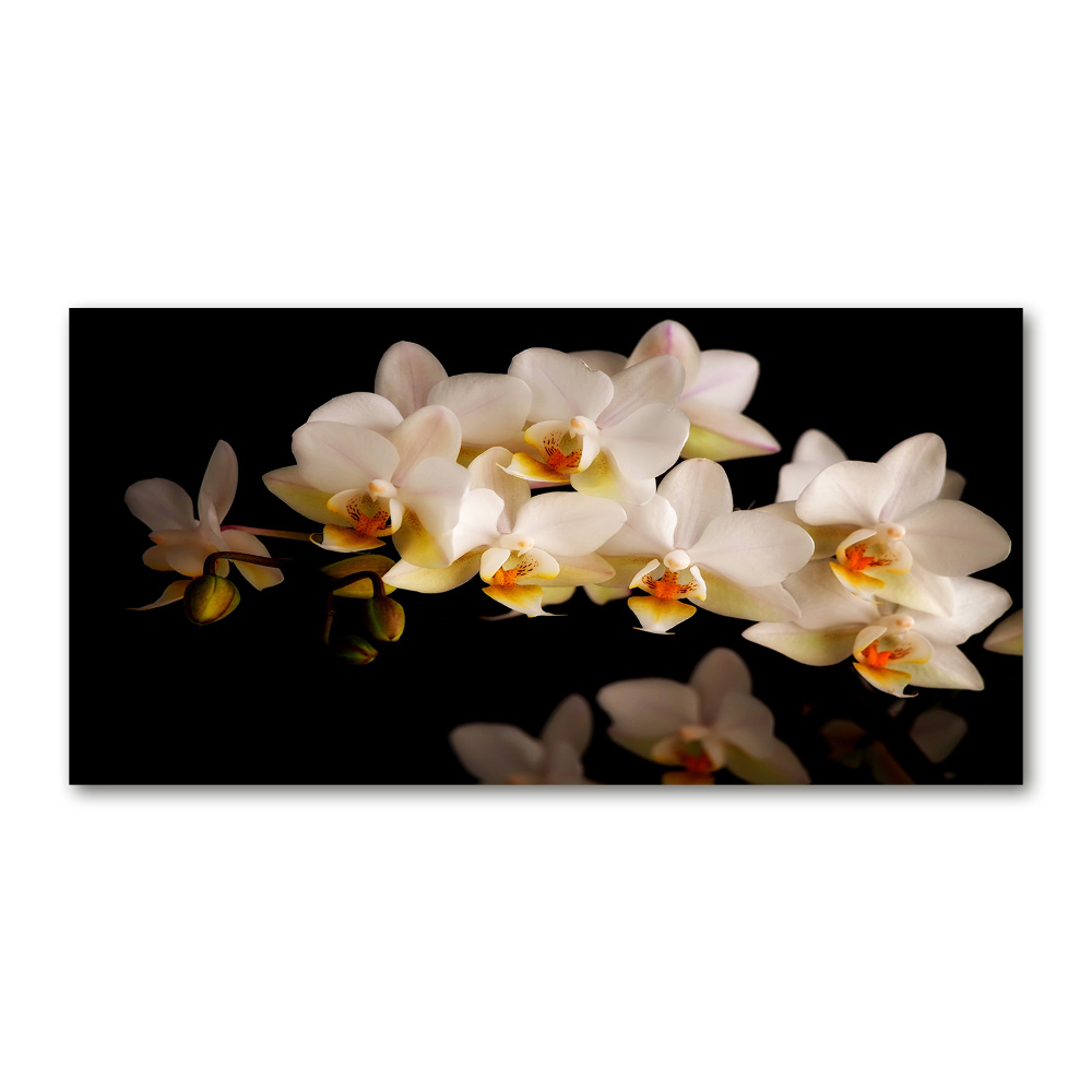 Foto obraz szkło hartowane Orchidea