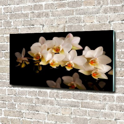 Foto obraz szkło hartowane Orchidea