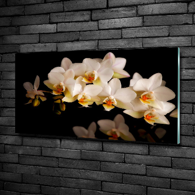 Foto obraz szkło hartowane Orchidea
