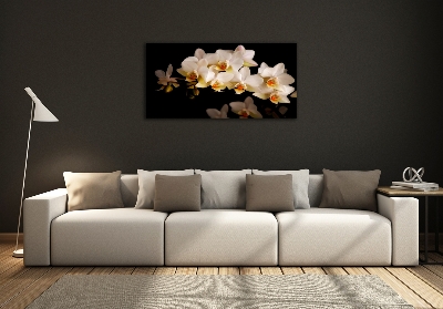 Foto obraz szkło hartowane Orchidea