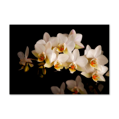 Foto obraz szkło hartowane Orchidea