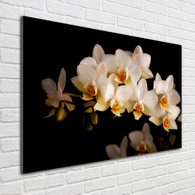Foto obraz szkło hartowane Orchidea