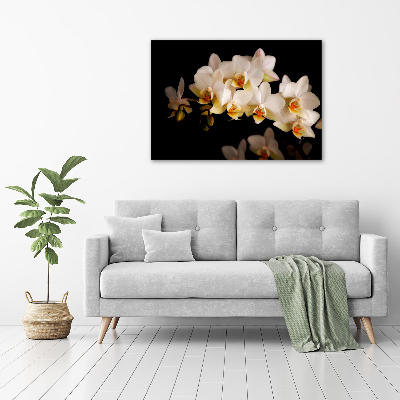 Foto obraz szkło hartowane Orchidea