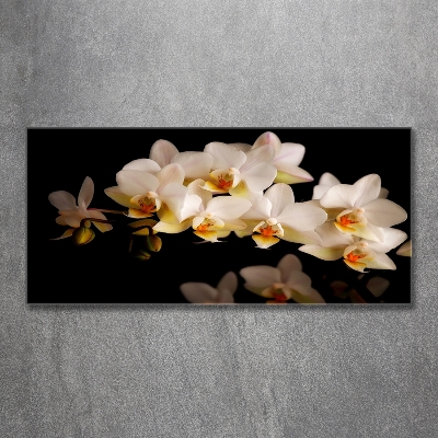 Foto obraz szkło hartowane Orchidea
