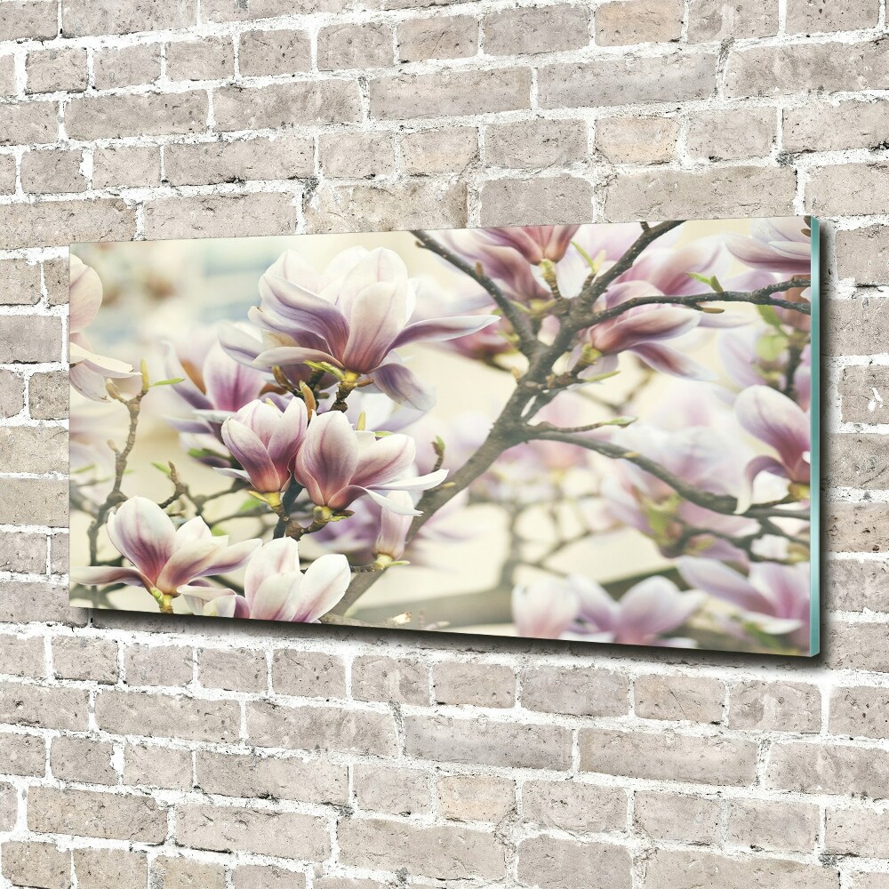 Foto obraz szkło hartowane Magnolia