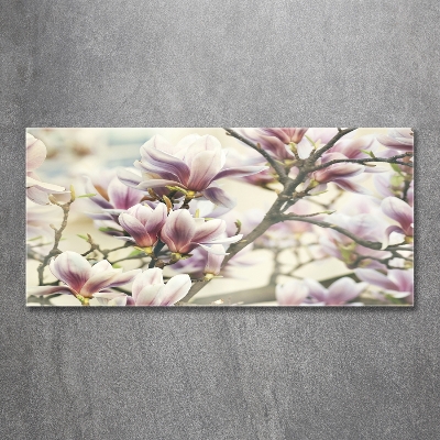 Foto obraz szkło hartowane Magnolia