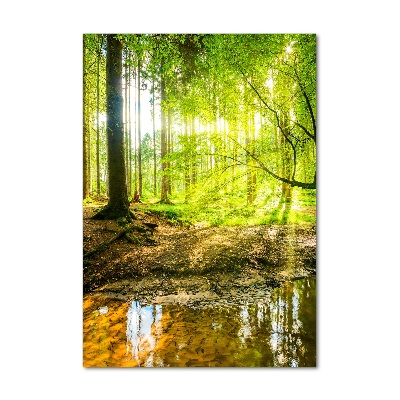 Foto obraz zdjęcie na szkle pionowy Słońce w lesie
