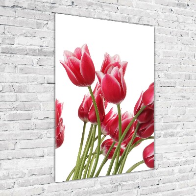Foto obraz na szkle pionowy Czerwone tulipany