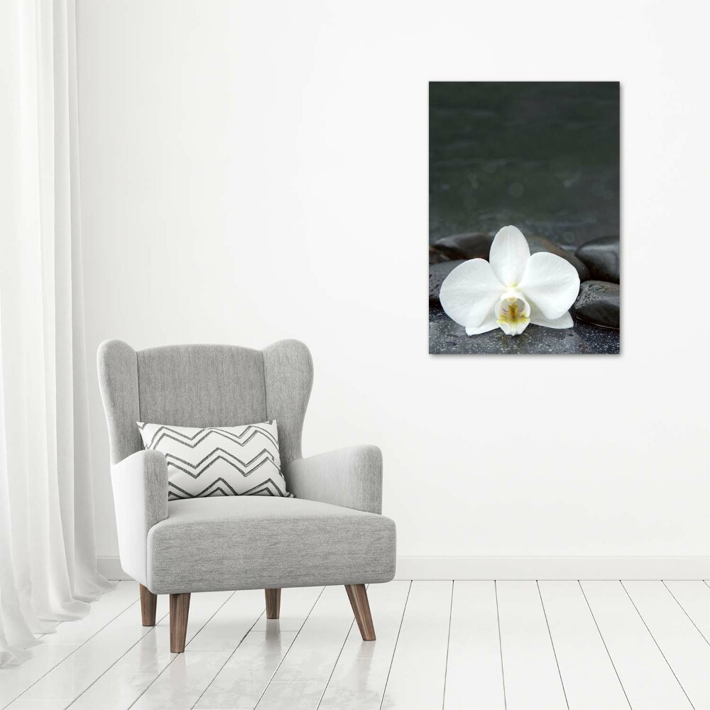 Foto obraz na szkle pionowy Orchidea kamienie