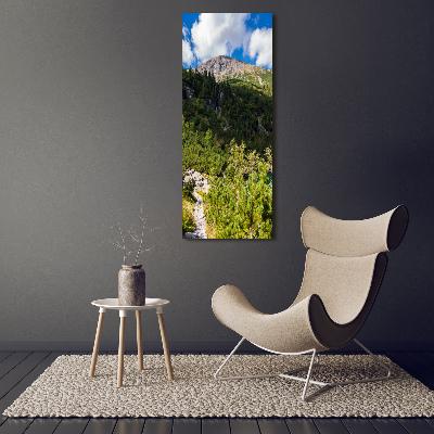 Foto obraz na szkle pionowy Morskie oko Tatry