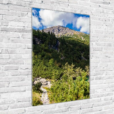Foto obraz na szkle pionowy Morskie oko Tatry