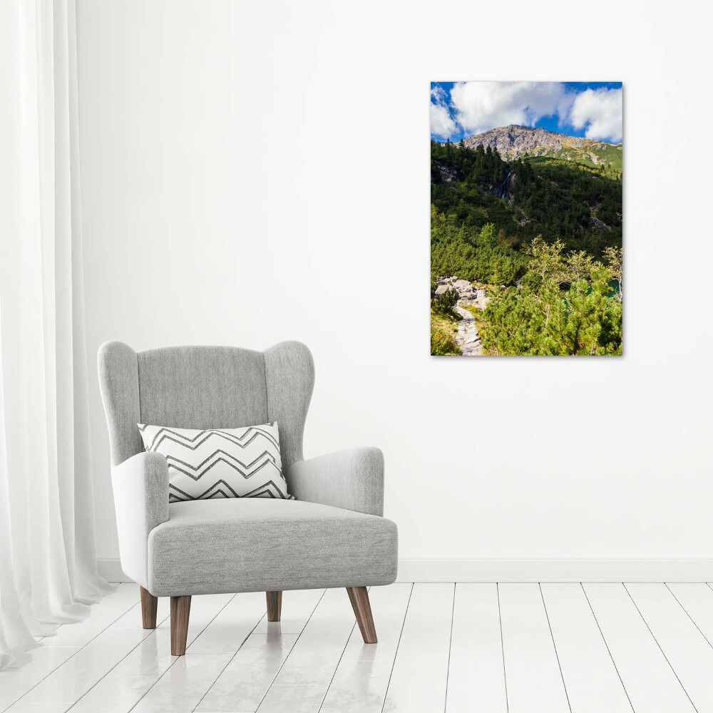 Foto obraz na szkle pionowy Morskie oko Tatry