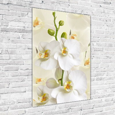 Foto obraz zdjęcie na szkle pionowy Biała orchidea