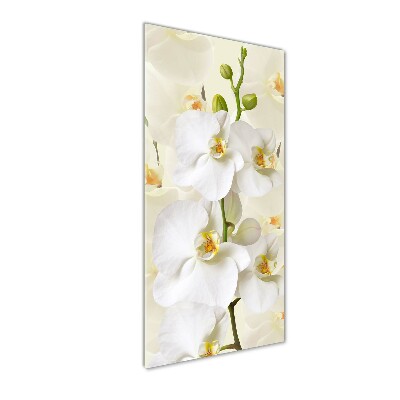 Foto obraz zdjęcie na szkle pionowy Biała orchidea