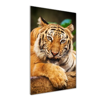 Foto obraz szklany pionowy Tygrys bengalski