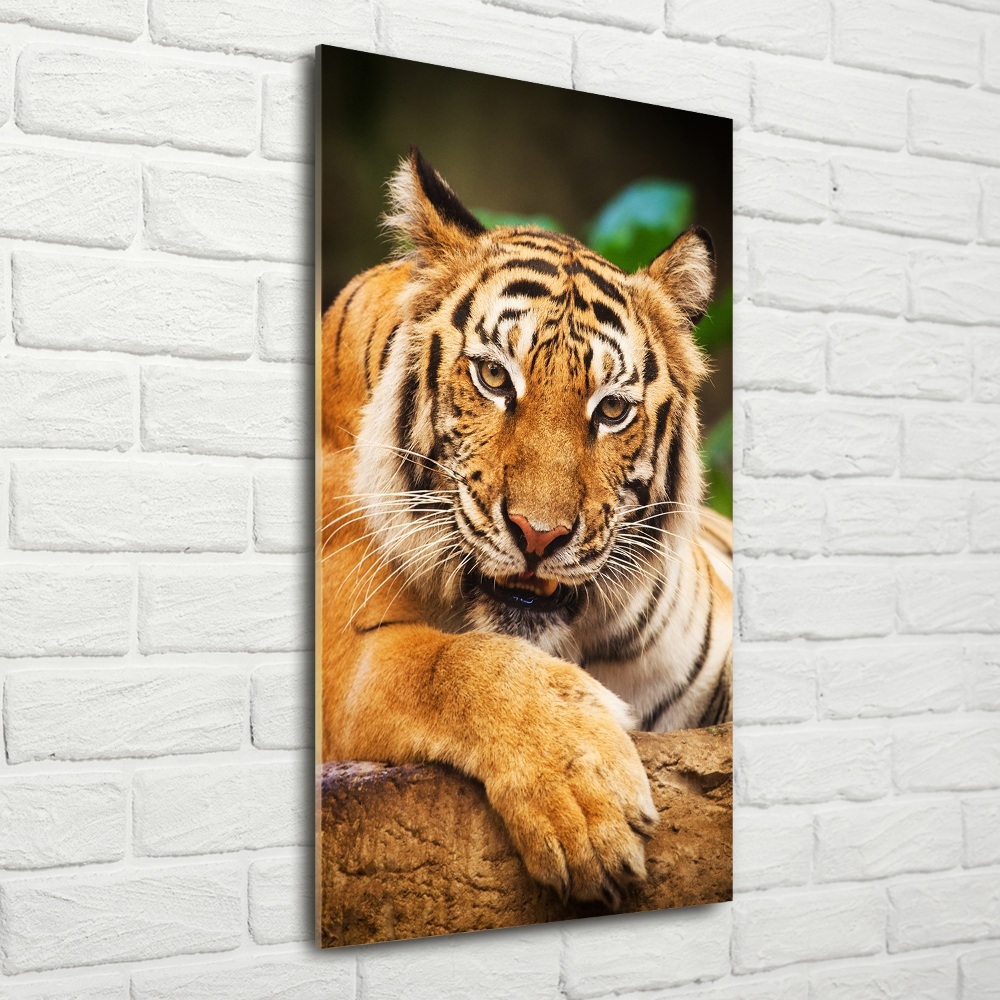 Foto obraz szklany pionowy Tygrys bengalski