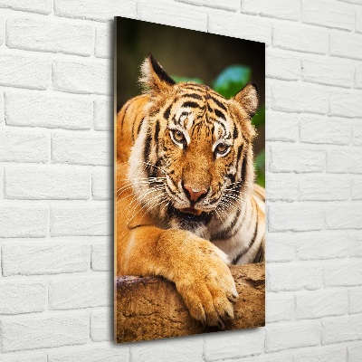 Foto obraz szklany pionowy Tygrys bengalski