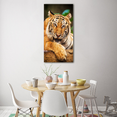 Foto obraz szklany pionowy Tygrys bengalski