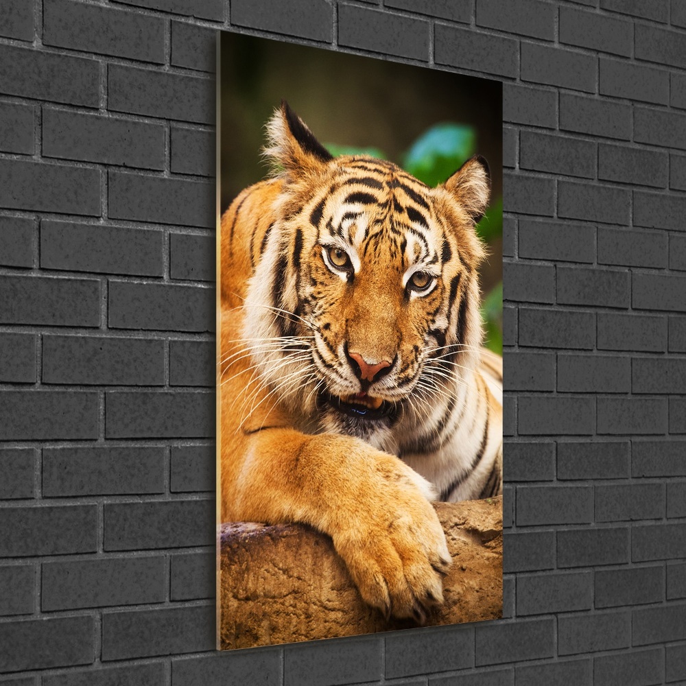 Foto obraz szklany pionowy Tygrys bengalski