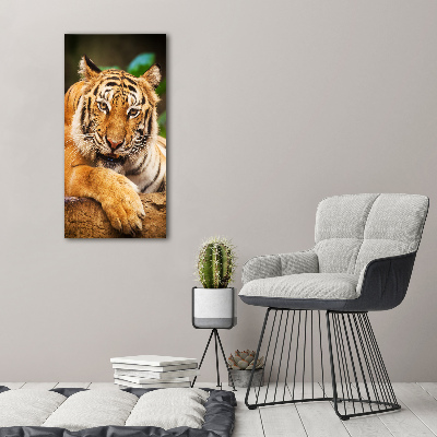 Foto obraz szklany pionowy Tygrys bengalski