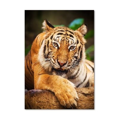 Foto obraz szklany pionowy Tygrys bengalski