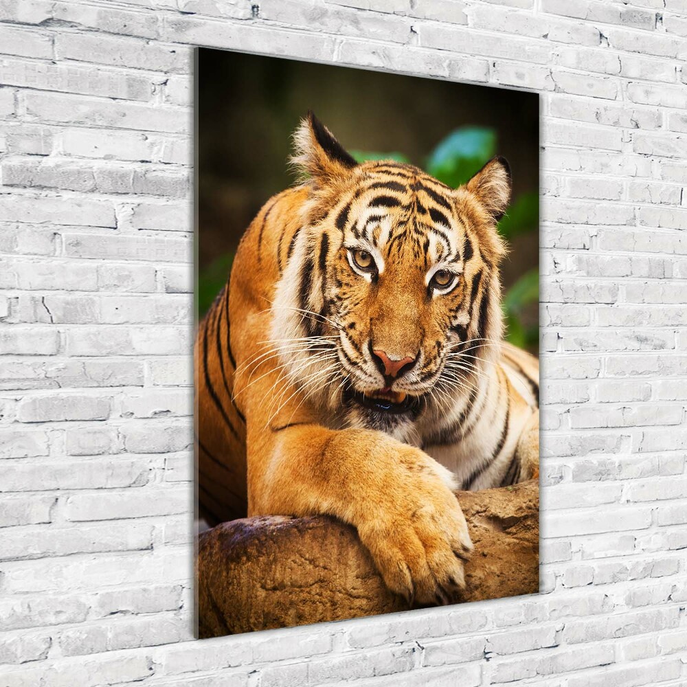 Foto obraz szklany pionowy Tygrys bengalski