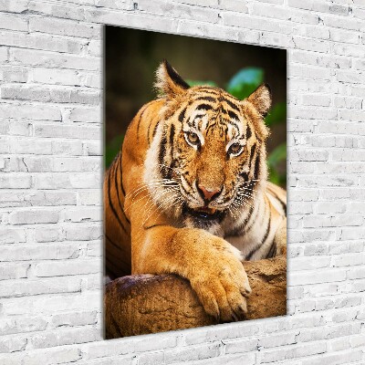 Foto obraz szklany pionowy Tygrys bengalski