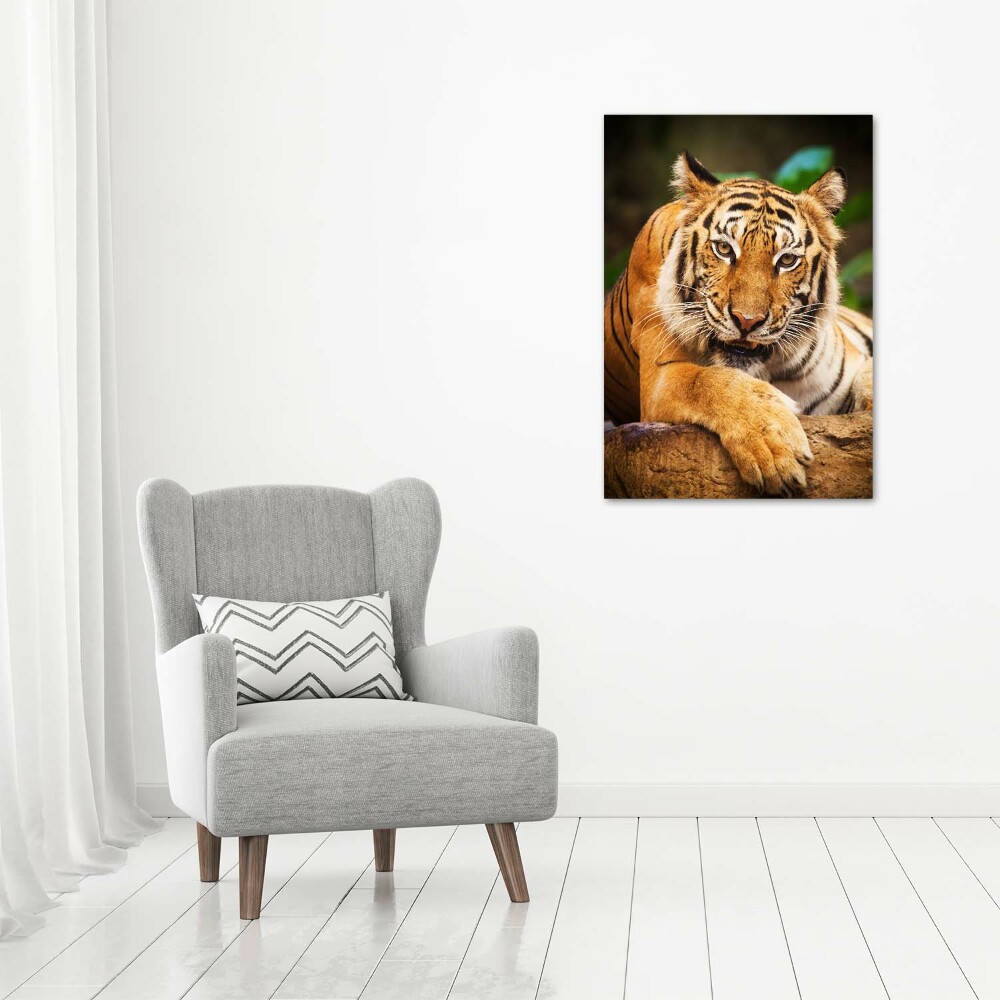 Foto obraz szklany pionowy Tygrys bengalski
