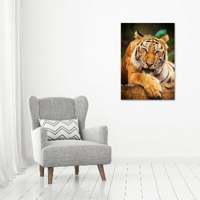 Foto obraz szklany pionowy Tygrys bengalski