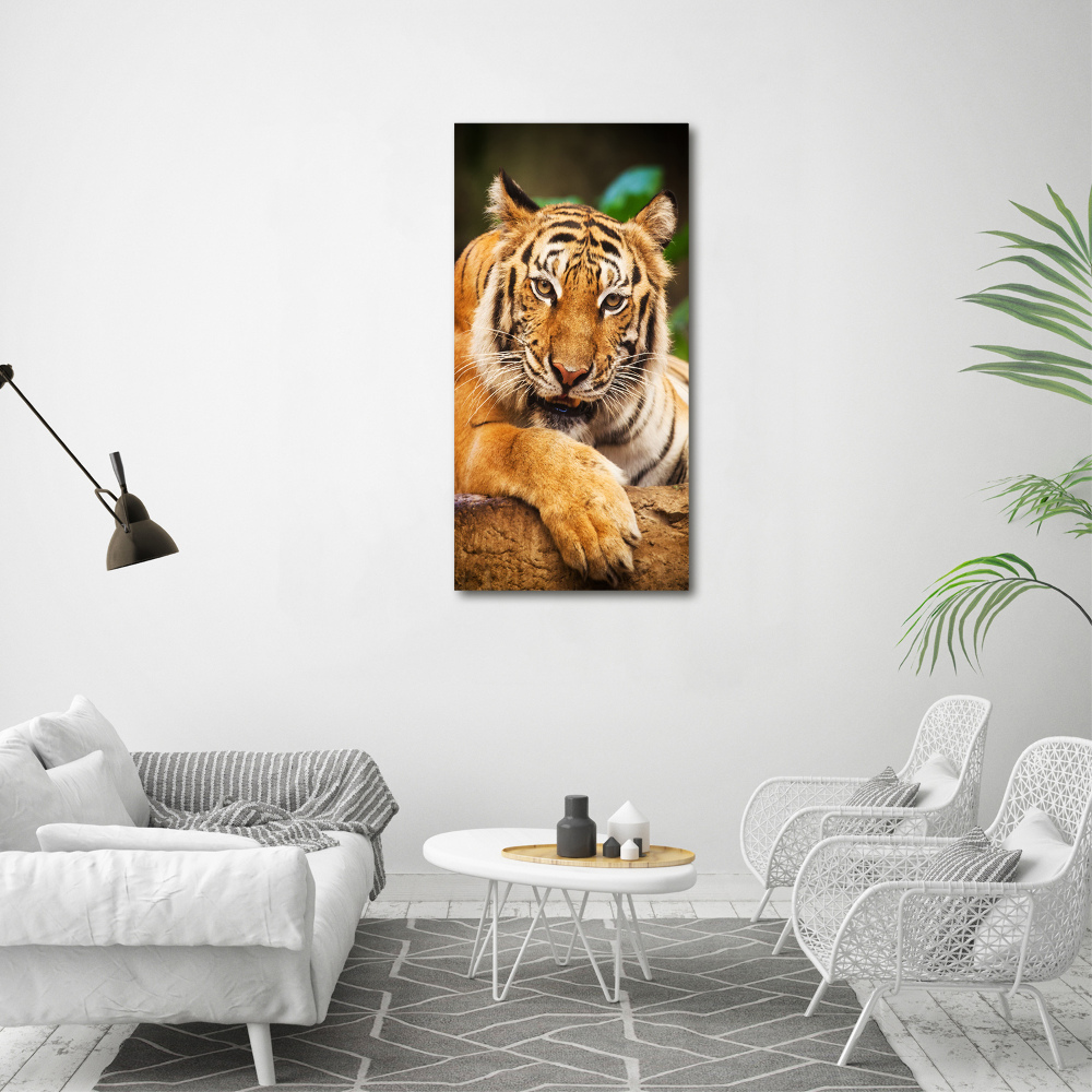 Foto obraz szklany pionowy Tygrys bengalski