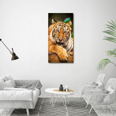 Foto obraz szklany pionowy Tygrys bengalski