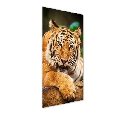 Foto obraz szklany pionowy Tygrys bengalski